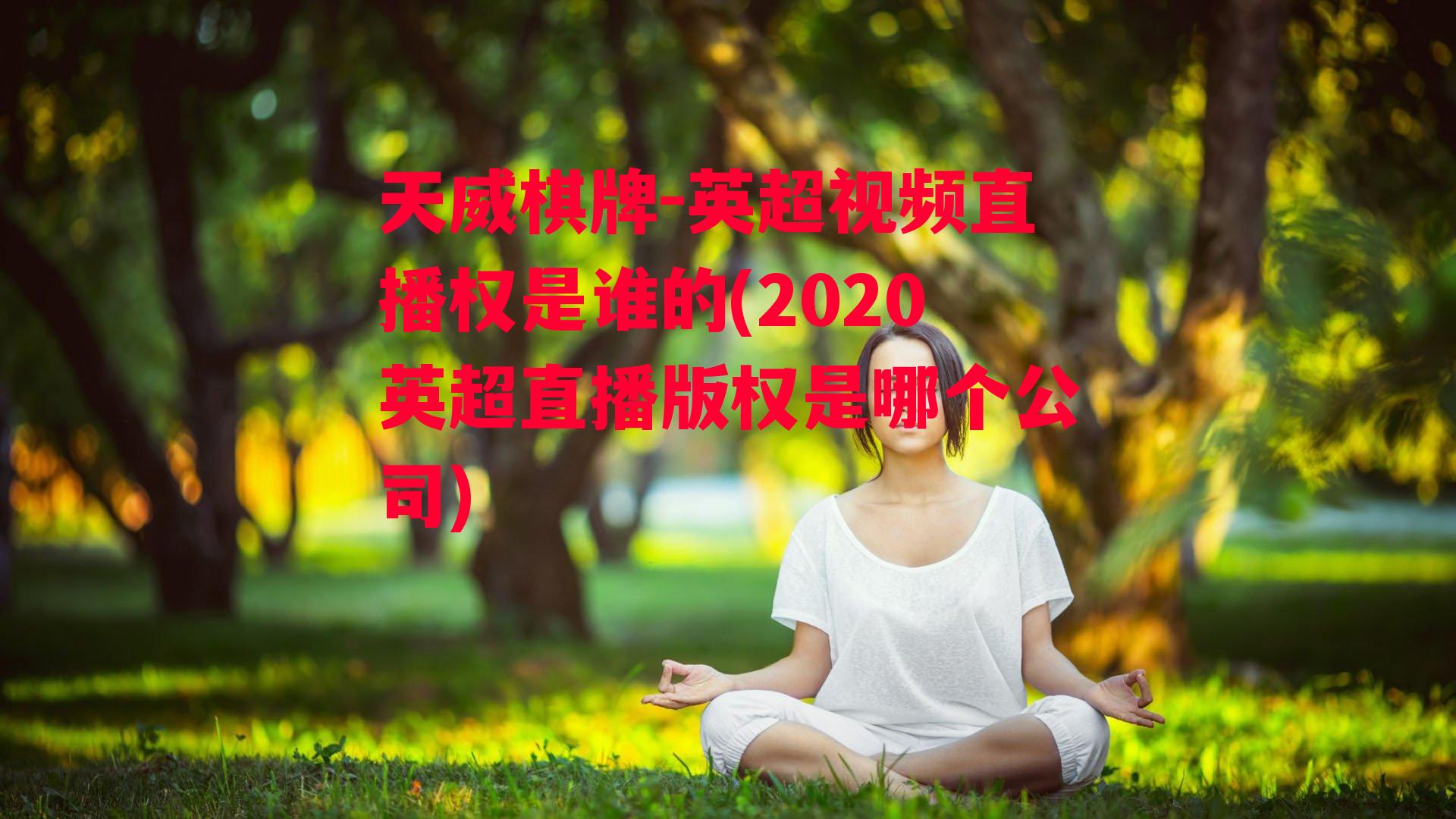 天威棋牌-英超视频直播权是谁的(2020英超直播版权是哪个公司)