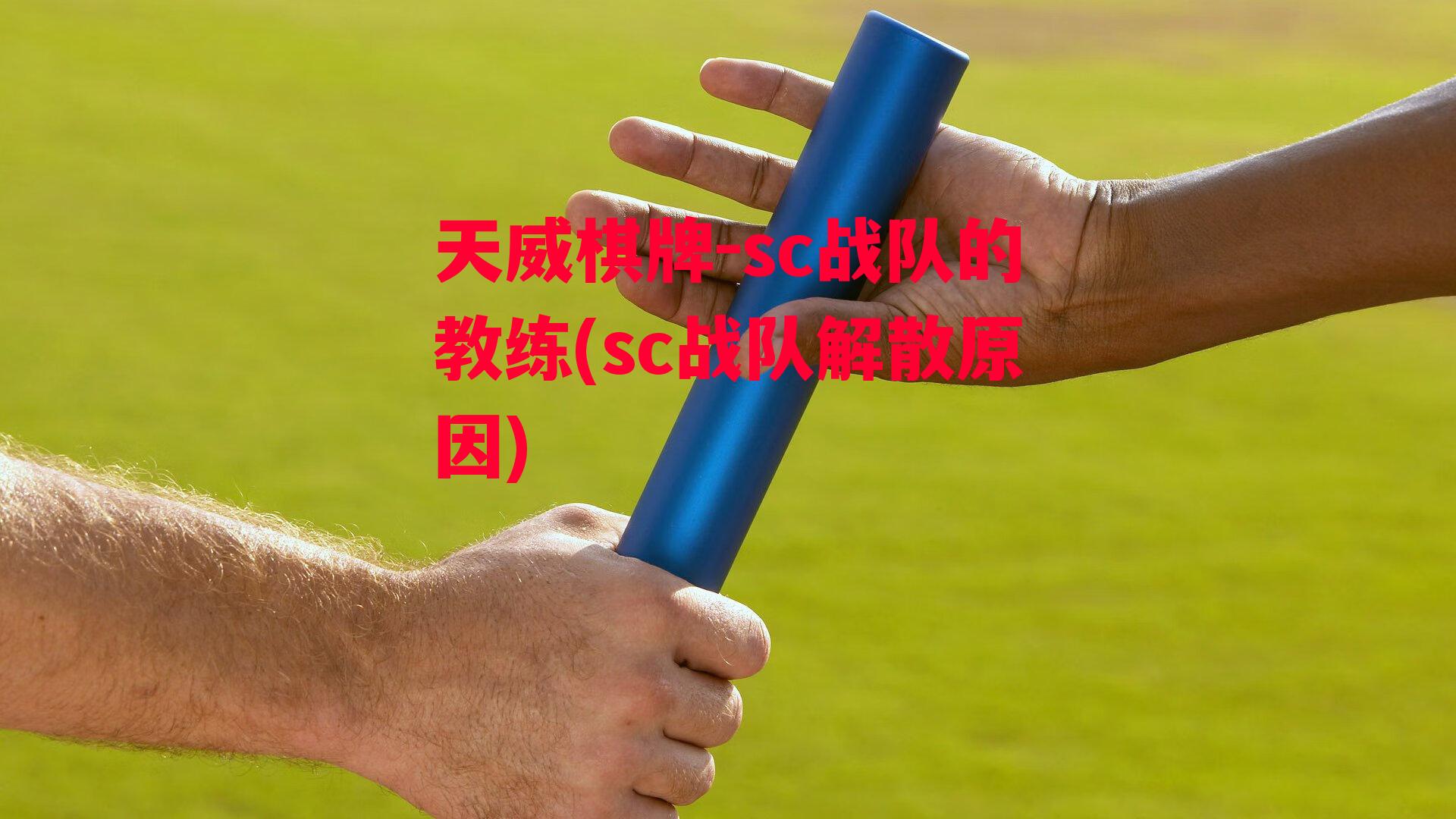 sc战队的教练(sc战队解散原因)